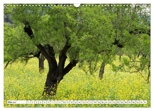 Produktbild: Mallorca - Momente einer Reise (Wandkalender 2027 DIN A3 quer), CALVENDO Monatskalender