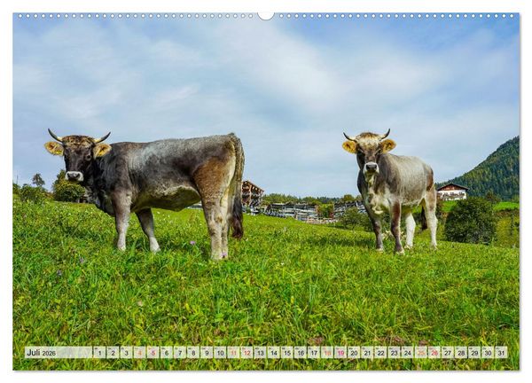 Produktbild: S&uuml;dtirol Impressionen (Wandkalender 2026 DIN A2 quer), CALVENDO Monatskalender