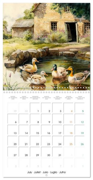 Produktbild: Regard sur la ferme (Calendrier mural carr&eacute; 2026 30x30 cm) Calendrier double avec une page pour vos prises de notes
