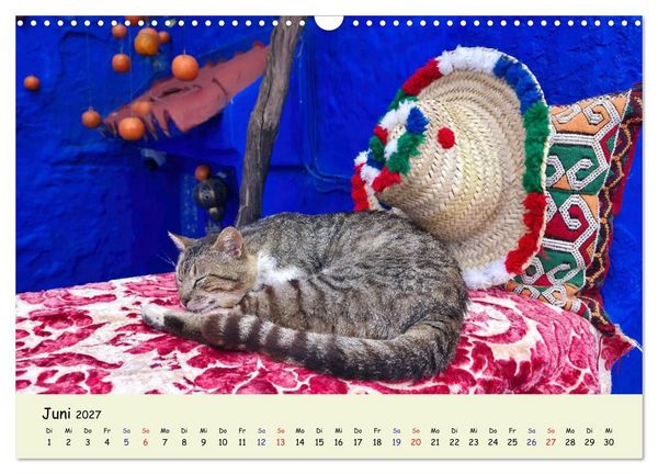 Produktbild: MarokkoCats (Wandkalender 2027 DIN A3 quer), CALVENDO Monatskalender