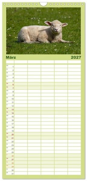 Produktbild: Familienplaner 2027 - Deichschafe - H&uuml;ter der Deiche in Nordfriesland mit 5 Spalten (Wandkalender, 21 x 45 cm) CALVENDO