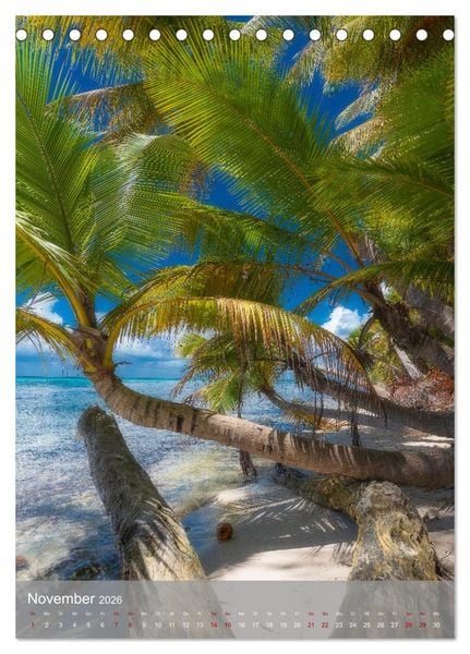 Produktbild: Karibischer Traum Isla Saona (Tischkalender 2026 DIN A5 hoch), CALVENDO Monatskalender