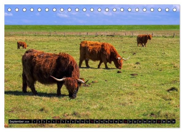 Produktbild: Langeoog - Sch&ouml;nste Insel Ostfrieslands (Tischkalender 2026 DIN A5 quer), CALVENDO Monatskalender