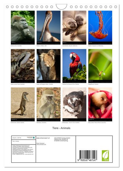 Produktbild: Tiere - Animals (Wandkalender 2026 DIN A4 hoch), CALVENDO Monatskalender
