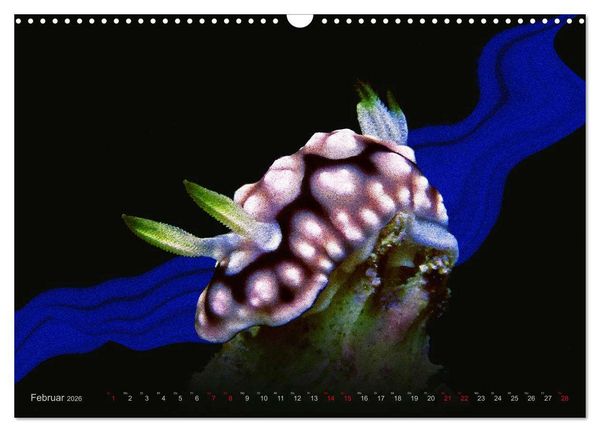 Produktbild: Artwork Unterwasser - Erlebnis Tauchen (Wandkalender 2026 DIN A3 quer), CALVENDO Monatskalender