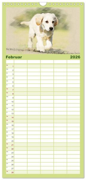 Produktbild: Familienplaner 2026 - Golden Retriever mit 5 Spalten (Wandkalender, 21 x 45 cm) CALVENDO