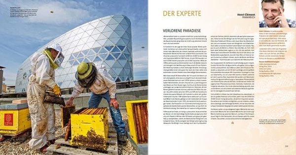 Produktbild: Die Wege des Honigs