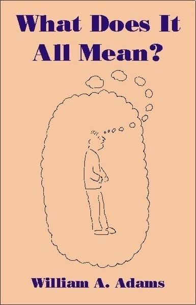 Produktbild: What Does It All Mean