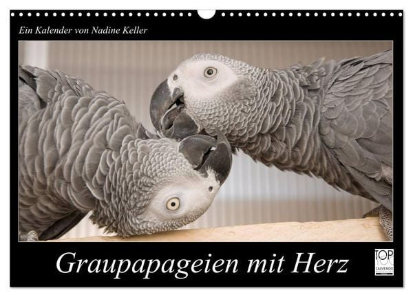Produktbild: Graupapageien mit Herz (Wandkalender 2026 DIN A3 quer), CALVENDO Monatskalender