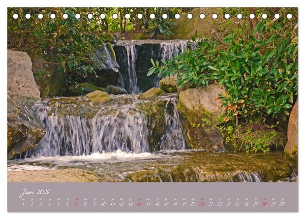 Produktbild: D&uuml;sseldorfer Nordpark (Tischkalender 2026 DIN A5 quer), CALVENDO Monatskalender
