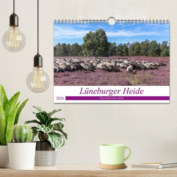 Produktbild: L&uuml;neburger Heide - Faszinierend sch&ouml;n (Wandkalender 2026 DIN A4 quer), CALVENDO Monatskalender