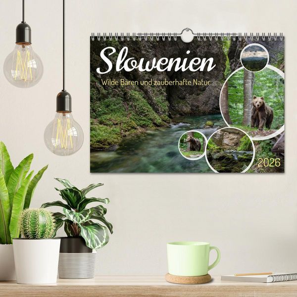 Produktbild: Slowenien - Wilde B&auml;ren und zauberhafte Natur (Wandkalender 2026 DIN A4 quer), CALVENDO Monatskalender