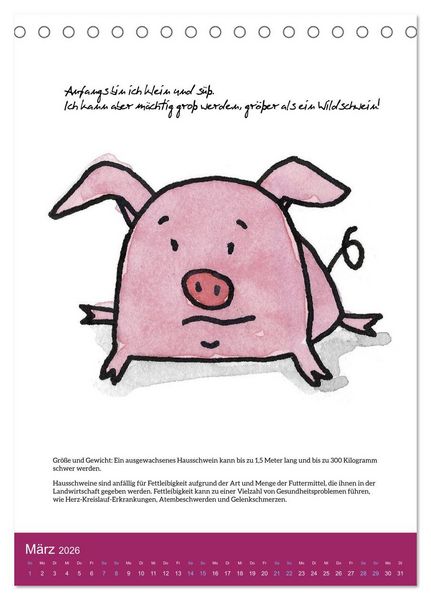 Produktbild: Schweinekalender - Alles was du &uuml;ber Schweine wissen wolltest! (Tischkalender 2026 DIN A5 hoch), CALVENDO Monatskalender