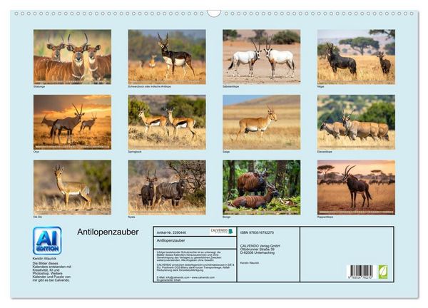 Produktbild: Antilopenzauber (Wandkalender 2027 DIN A2 quer), CALVENDO Monatskalender
