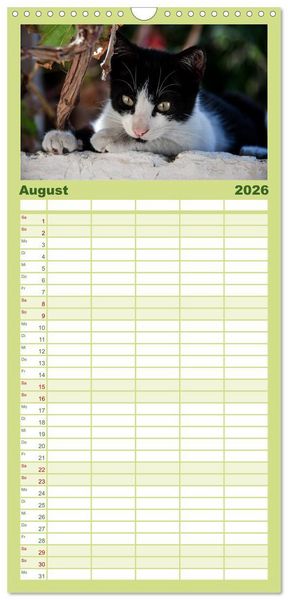 Produktbild: Familienplaner 2026 - Griechische Katzen mit 5 Spalten (Wandkalender, 21 x 45 cm) CALVENDO
