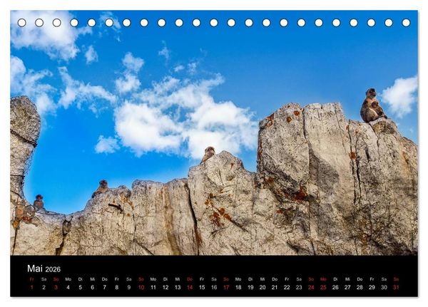 Produktbild: Gibraltar - der Affenfelsen (Tischkalender 2026 DIN A5 quer), CALVENDO Monatskalender