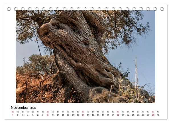 Produktbild: Vertr&auml;umtes Eub&ouml;a - Bilder vom Insels&uuml;den (Tischkalender 2026 DIN A5 quer), CALVENDO Monatskalender