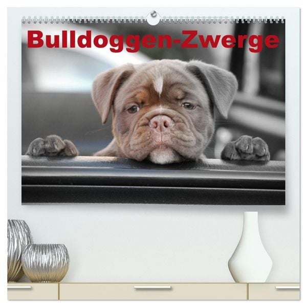 Produktbild: Bulldoggen-Zwerge (hochwertiger Premium Wandkalender 2026 DIN A2 quer), Kunstdruck in Hochglanz