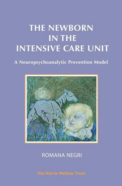 Produktbild: The Newborn in the Intensive Care Unit