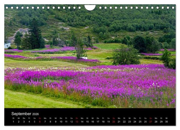 Produktbild: Landschaften Norwegens zwischen Polarkreis und Nordkap (Wandkalender 2026 DIN A4 quer), CALVENDO Monatskalender