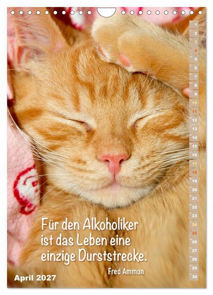Produktbild: Der literarische Katerkalender (Wandkalender 2027 DIN A4 hoch), CALVENDO Monatskalender