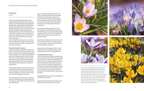 Produktbild: Robuste Traumbeete gestalten