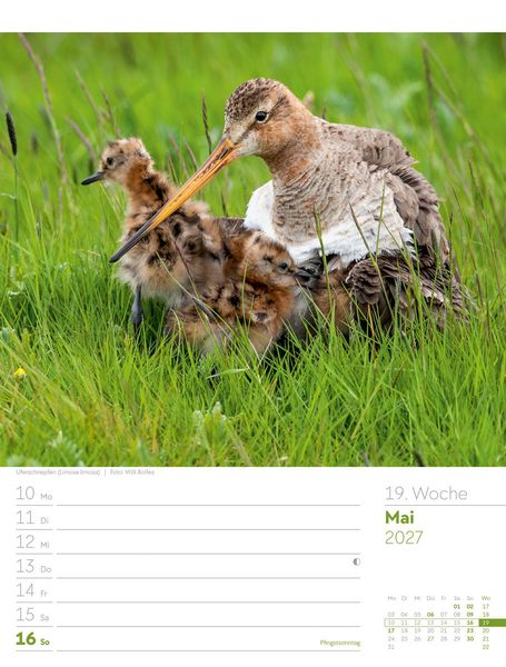 Produktbild: V&ouml;gel Wochenplaner Kalender 2027