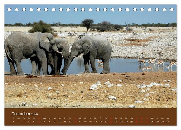 Produktbild: Namibia - faszinierende Menschen und Tiere (Tischkalender 2026 DIN A5 quer), CALVENDO Monatskalender