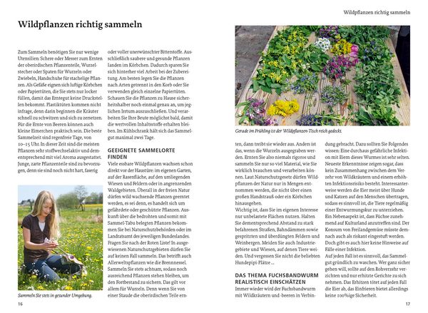 Produktbild: Unsere essbaren Wildpflanzen