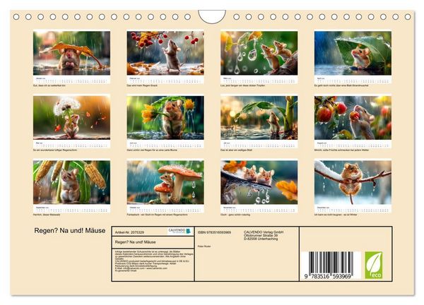 Produktbild: Regen? Na und! M&auml;use (Wandkalender 2026 DIN A4 quer), CALVENDO Monatskalender