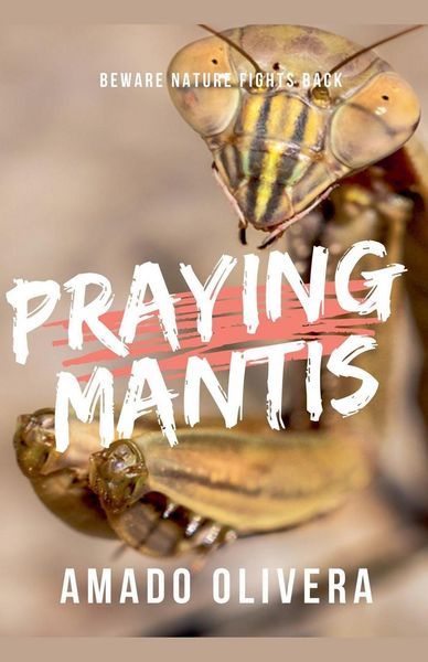 Produktbild: Praying Mantis