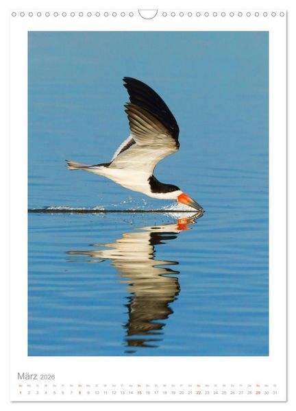 Produktbild: Pantanal &ndash; Einzigartiges Wildlife-Paradies (Wandkalender 2026 DIN A3 hoch), CALVENDO Monatskalender
