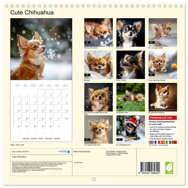 Produktbild: Cute Chihuahua (Wall Calendar 2026 12 &times; 12 Inch) CALVENDO 12 Month Wall Calendar