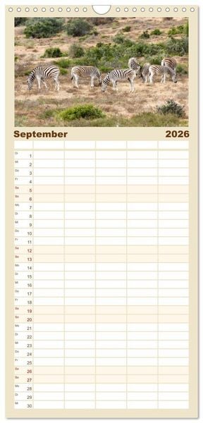 Produktbild: Familienplaner 2026 - S&uuml;dafrika - Garden Route mit 5 Spalten (Wandkalender, 21 x 45 cm) CALVENDO