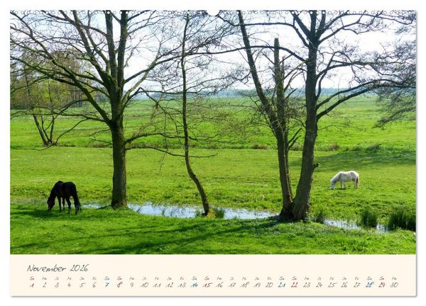 Produktbild: Bremer Blockland - Landleben in der Gro&szlig;stadt (Wandkalender 2026 DIN A2 quer), CALVENDO Monatskalender