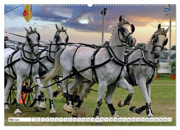 Produktbild: Viersp&auml;nner Herausforderung Fahrsport (hochwertiger Premium Wandkalender 2026 DIN A2 quer), Kunstdruck in Hochglanz