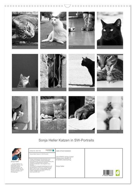 Produktbild: Sonja Heller Katzen in SW-Portraits (Wandkalender 2026 DIN A2 hoch), CALVENDO Monatskalender