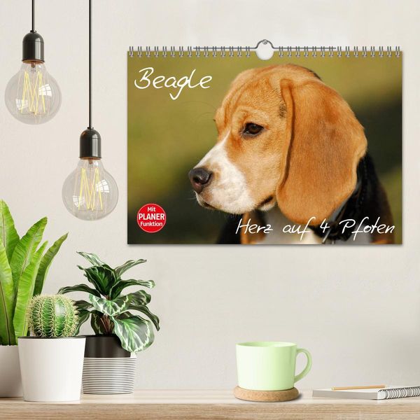 Produktbild: Beagle - Herz auf 4 Pfoten (Wandkalender 2026 DIN A4 quer), CALVENDO Monatskalender