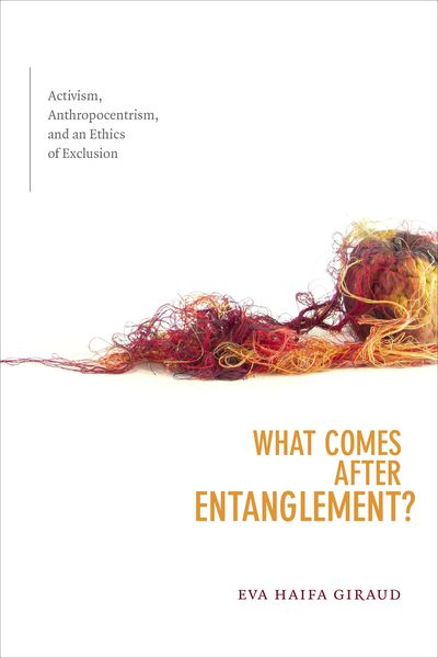 Produktbild: What Comes after Entanglement?