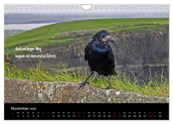 Produktbild: Irland - Irische Segensw&uuml;nsche (Wandkalender 2026 DIN A4 quer), CALVENDO Monatskalender