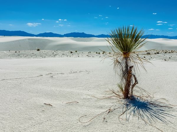Produktbild: White Sands National Monument, New Mexiko (Puzzle)