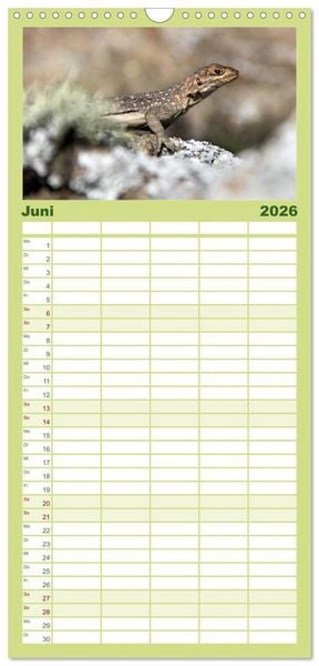 Produktbild: Familienplaner 2026 - Tiere Madagaskars mit 5 Spalten (Wandkalender, 21 x 45 cm) CALVENDO
