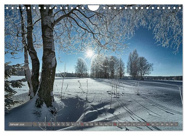 Produktbild: Vogtland - Impressionen (Wandkalender 2026 DIN A4 quer), CALVENDO Monatskalender