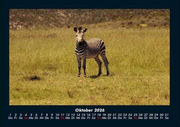 Produktbild: Zebrazauber 2026 Fotokalender DIN A4