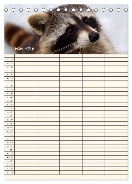 Produktbild: Waschb&auml;ren Familienplaner (Tischkalender 2026 DIN A5 hoch), CALVENDO Monatskalender