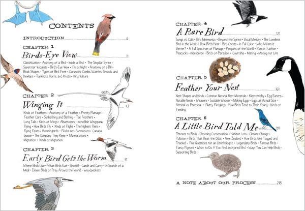 Produktbild: Bird Anatomy