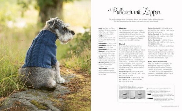 Produktbild: Strick-Lieblinge f&uuml;r deinen Hund