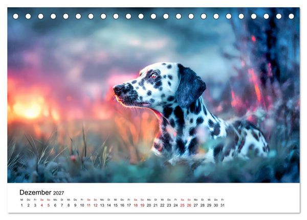Produktbild: Dalmatiner - Mehr als nur Punkte! (Tischkalender 2027 DIN A5 quer), CALVENDO Monatskalender