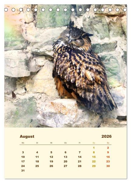 Produktbild: Uhu, die Faszination bernsteinfarbener Augen (Tischkalender 2026 DIN A5 hoch), CALVENDO Monatskalender