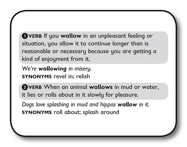 Produktbild: 11+ Vocabulary Flashcards